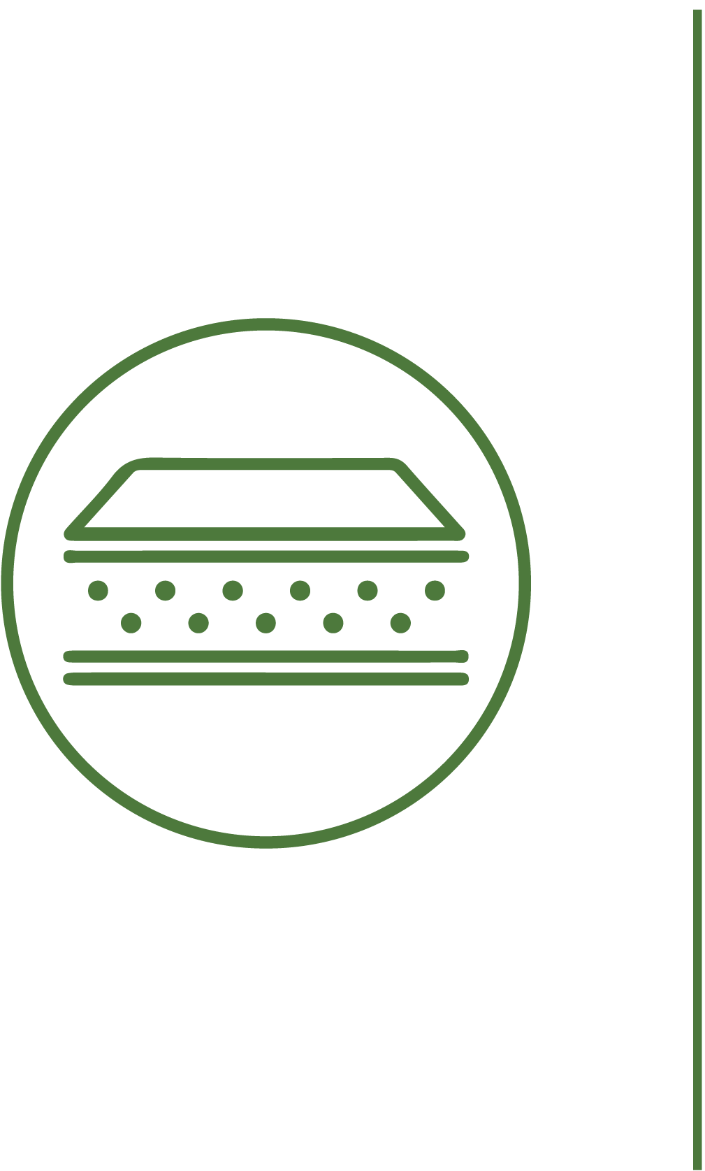 Kamala_Hybrid Flex Icon